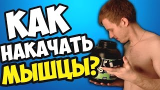 Как НАКАЧАТЬ МЫШЦЫ? | ЛУЧШИЙ СПОСОБ СТАТЬ КАЧКОМ | Шоу ДЯДИ ДОБРО!