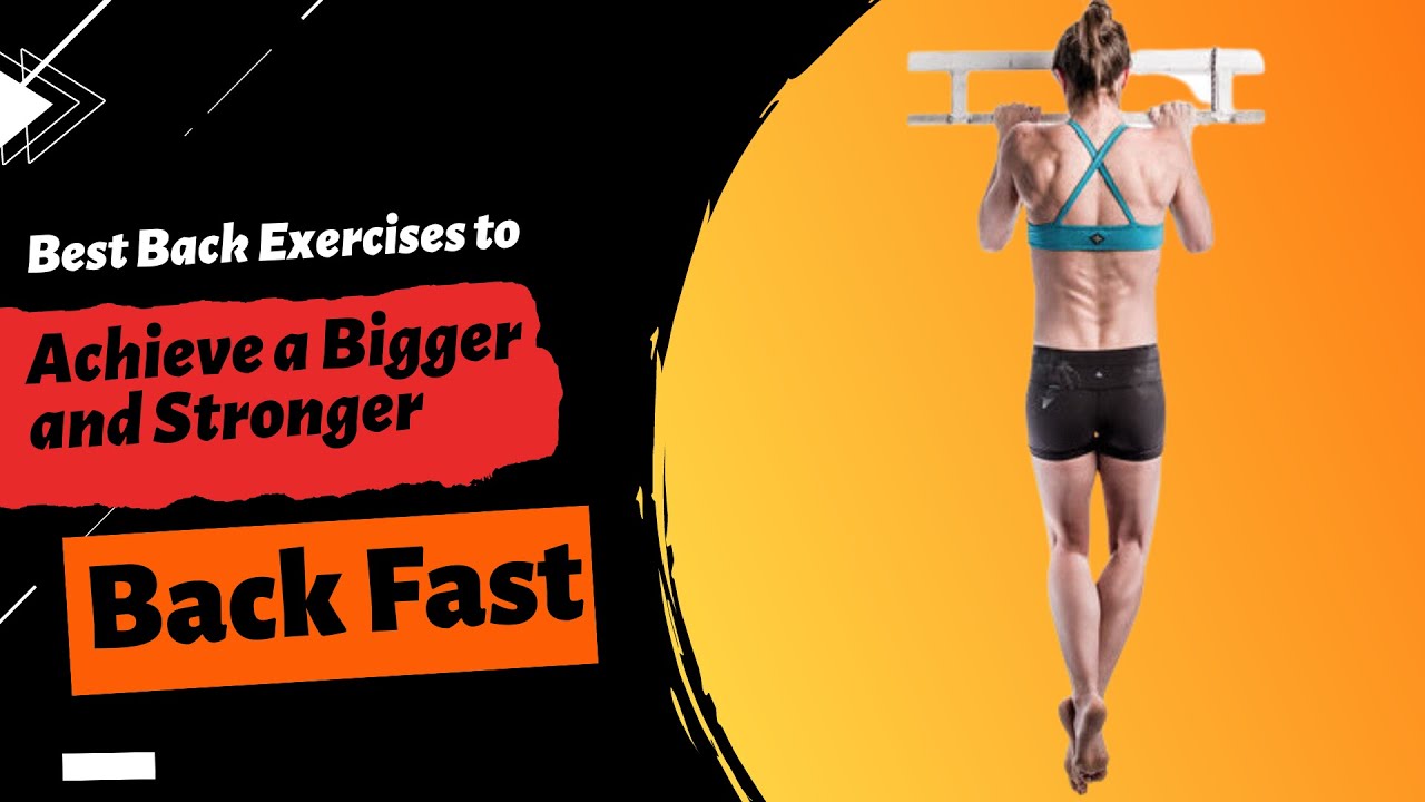 Best Back Exercises to Achieve a Bigger and Stronger Back Fast ...