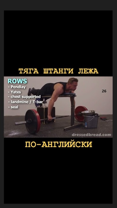 ТЯГА ШТАНГИ ЛЕЖА. ТЯГА ТЮЛЕНЯ. Перевод на английский - YouTube