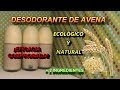 DESODORANTE NATURAL DE AVENA + 2 INGREDIENTES