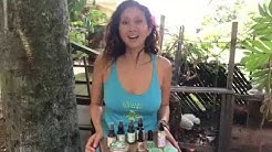 Hawaii Medicinal CBD from Hemp