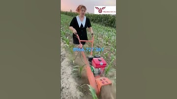 Máy xới đất xạc  cỏ, máy sạc cỏ #maysacco #mayxoidat