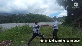 12 Arnis Disarming Techniques