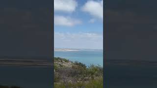 Del rio Texas looks like Hawaii !