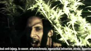 Video thumbnail of "JULIAN MARLEY - BOOM DRAW (Official Video)"