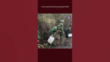 Liên tục xảy ra cháy, cảnh báo mức độ cháy rừng #shorts