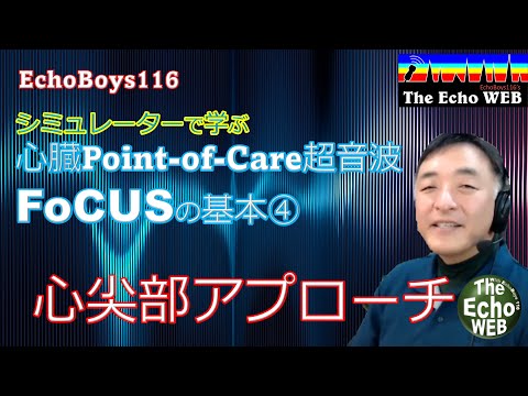 Point-of-Care心エコー（FoCUS）の基本④　心尖部アプローチ