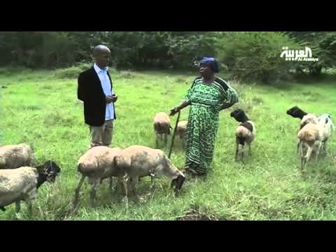 فيضانات في الصومال