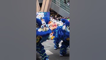 Thumbnail of 2025 World Dragon & Lion Dance Extravaganza