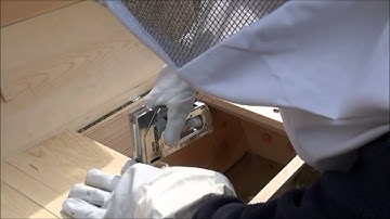 Top Bar Hive Bee package install part 1