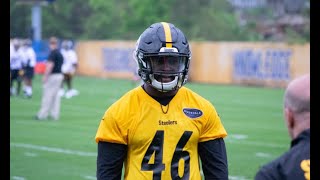 What the Browns Get in New Linebacker Tegray Scales - Sports 4 CLE, 8/25/21