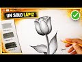 Cómo Dibujar un TULIPÁN REALISTA con un solo lápiz - Dibujemos Juntos