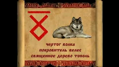 с 25 февраля по 22 марта - ЧЕРТОГ ВОЛКА (по дате рождения)