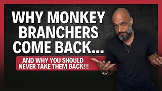 картинка: Они всегда возвращаются… Вот почему любители Monkey Branch потом жалеют об этом