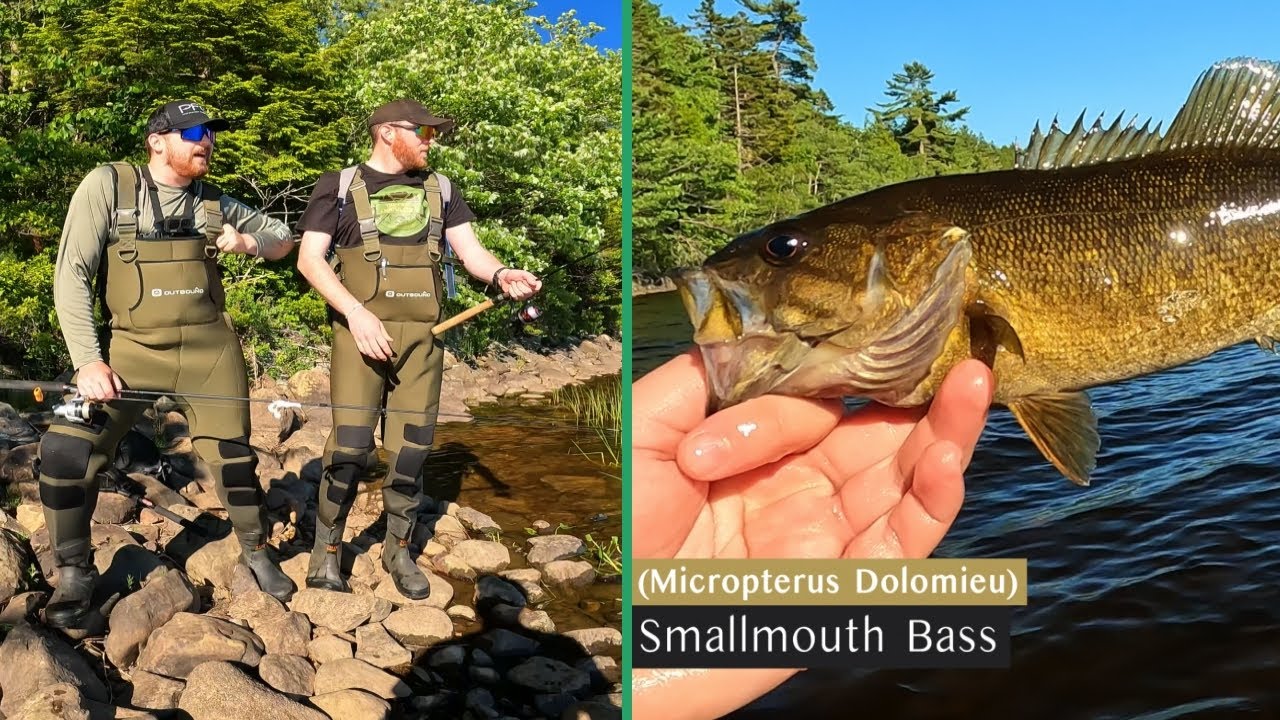 Fishing for a GIANT Smallmouth Bass Lake Monster! ~ Sandy Lake Bedford, Nova Scotia