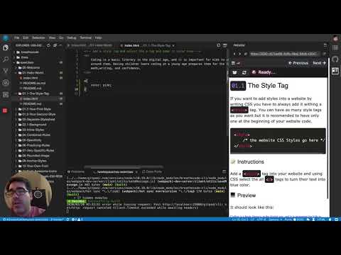 Using a style tag - CSS Interactive Exercises/Course