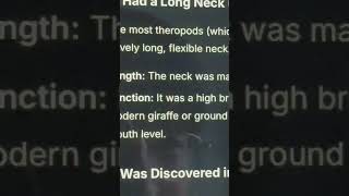 Asking Ai For Therizinosaurus Facts