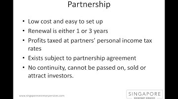 The different types of business entity structures (Part 1)