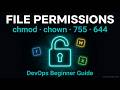 Linux File Permissions Explained | chmod & chown Full Guide | DevOps Beginners #devops #linux