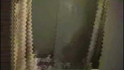 The Dirtiest House Ever!! Real Estate Investor Rehab Project