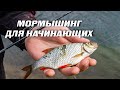 МОРМЫШИНГ. Как ловить? Для новичков.