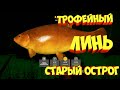 русская рыбалка 4 - Линь озеро Старый Острог - рр4 фарм Алексей Майоров russian fishing 4