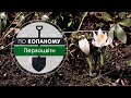 Первоцвіти. Програма “По копаному” з Євгеном Єльпітіфоровим