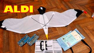 ALDI Screwdriver kits and CRANE  Seagull Kite