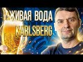 Домашнее пиво на родниковой воде Карлсберг! | Живая вода. 