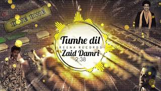 Tumhe Dil - Zaid Damri Ii Movie Meera Ka Mohan I Album Owe Owe I Reena Records Centre