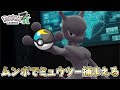 🌙ミュウツー捕まえに行くぞ～　#ポケモンZA　 #PokemonLegendsZA