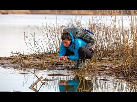 Video: Wat Om Te Plant En Te Saai In Mei