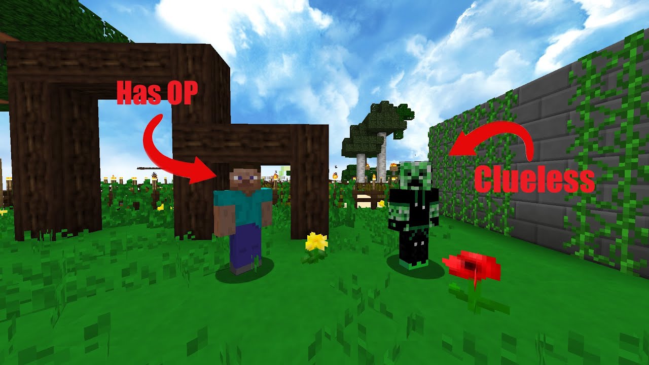 So I joined my Minecraft server with a random OP account and they didn ...