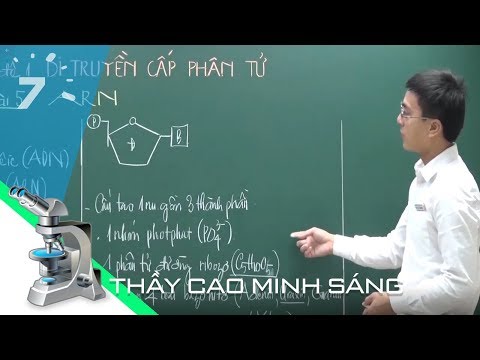 Sinh học 12 Bài 2: ARN, protein và phương pháp giải bài tập | HỌC247