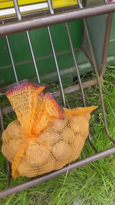 ♦️ АВТОМАТ КОТОРЫЙ ВЫДАЕТ 🍟МЕШКИ С КАРТОШКОЙ, в первый раз видела такое ...