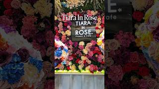 Download Lagu Tiara In Rose - Toul Kork #coffee #toulkork #matcha MP3