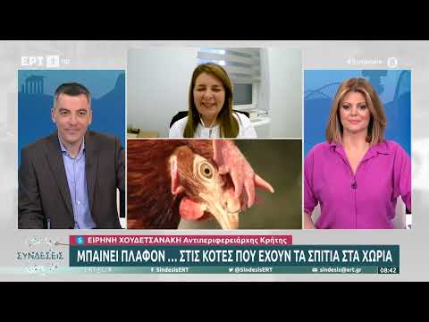 Μπαίνει πλαφόν...στις κότες που έχουν τα σπίτια στα χωριά | 24/03/2023 | ΕΡΤ