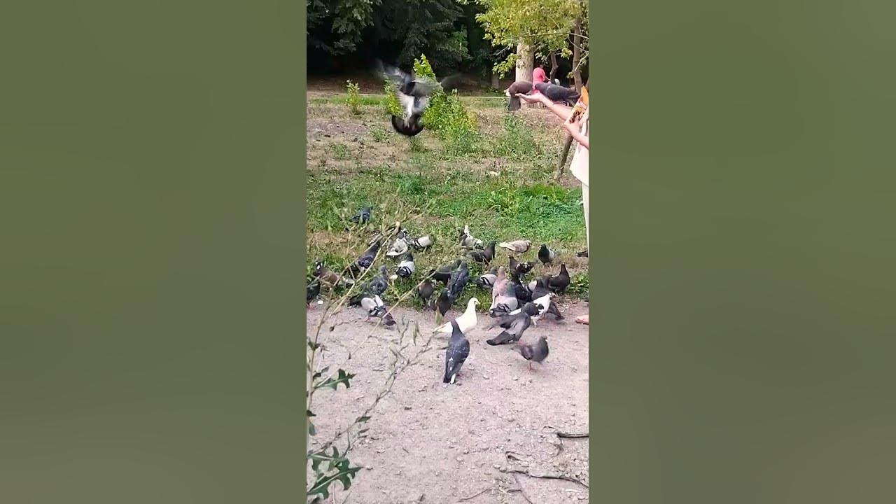 Да не оскудеет рука дающего... - YouTube