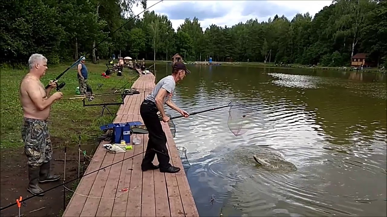 Пруд клевый. Рыбалка клёвое место Лосиный остров. Платная рыбалка Лосиный остров. Платные пруды Лосиный остров. Клёвое место Лосиный остров фото.