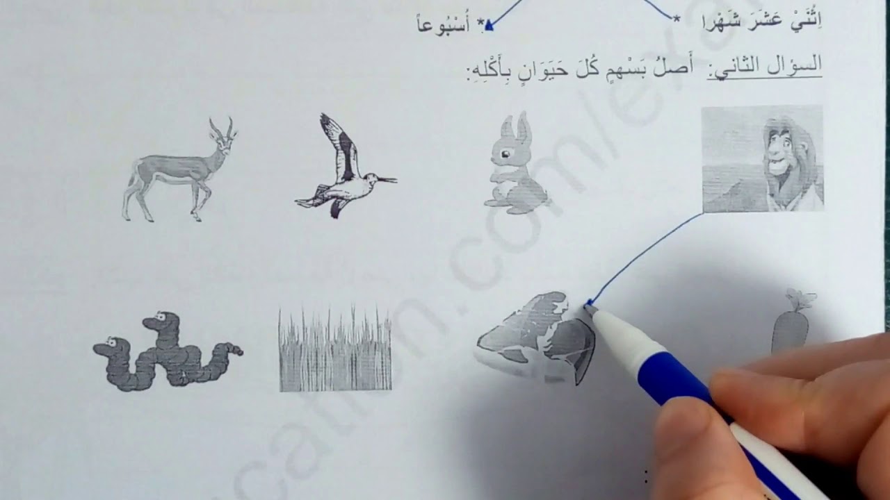 حل موضوع في التربية  العلمية **للسنة الثانية   ابتدائي الفصل الثاني**