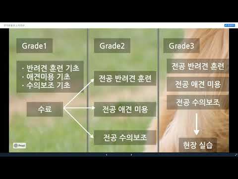 [세연고등학교] - 학과소개 반려동물과편