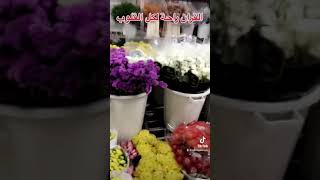 ربنا لا تزغ قلوبنا بعد اذ هديتنا