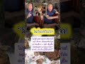 #funny #funnyvideo #motivation#automobile #motivation #viral#viralvideo #news #humor #kpop #viral