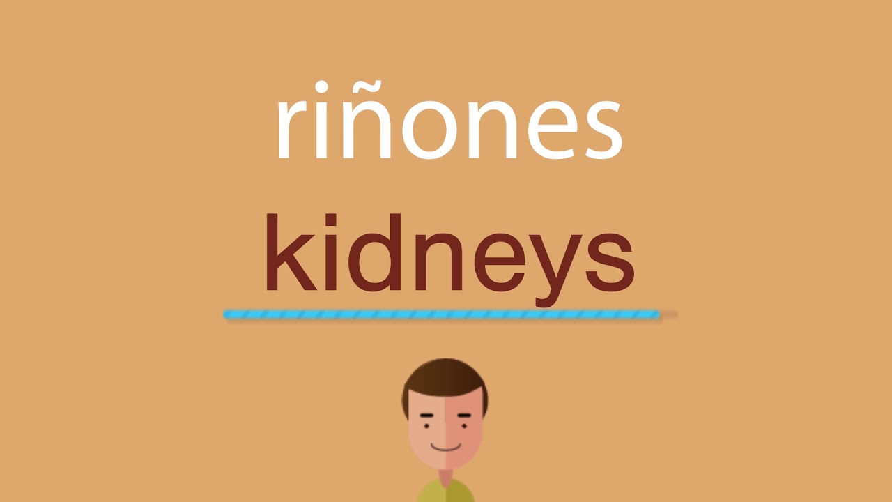 Cómo se dice riñones en inglés idioma de colombia
