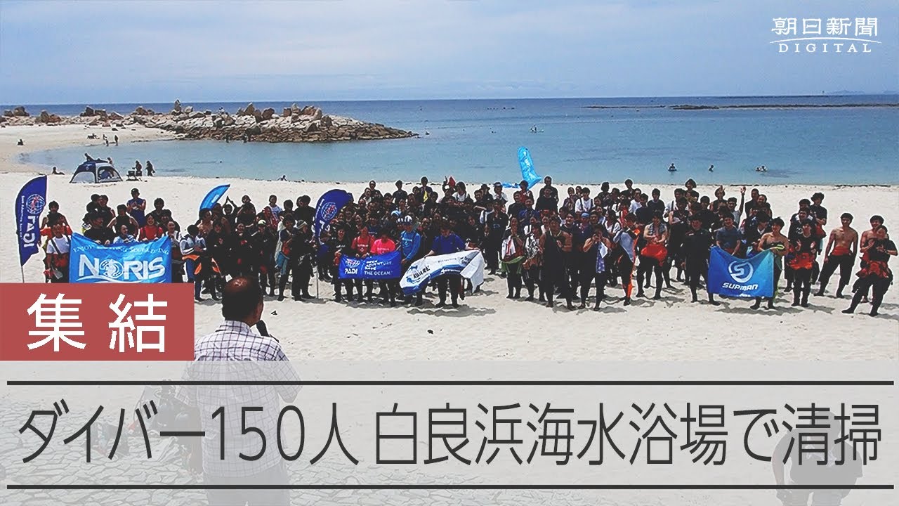 パラソルの骨も…「環境考えたい」世界海洋デーにダイバーが水中清掃 動画：朝日新聞