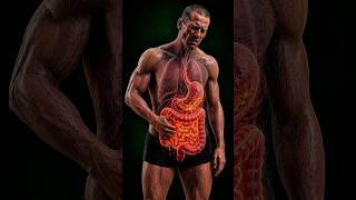 What Happens Inside Your Body When You Get Food Poisoning? #shorts #viralshorts