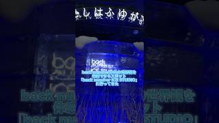 back number ICE STUDIOへ行って来た！！12月23日(土)~25日(月) ZeroBase渋谷にて開催！