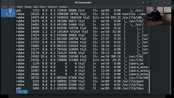 CTF Занятие #2: Введение в Linux
