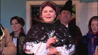 Adriana Maior  -  Raiule grădină verde