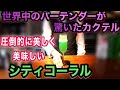 【シティ コーラル】世界中のバーテンダーが驚いたカクテルの作り方